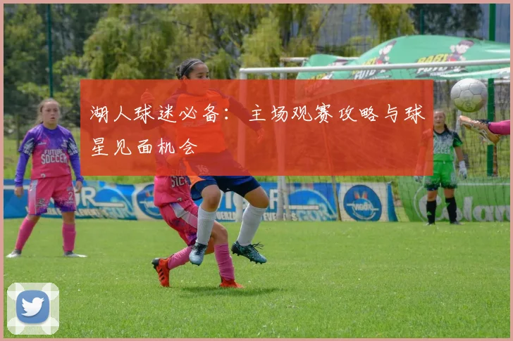 湖人球迷必备:主场观赛攻略与球星见面机会